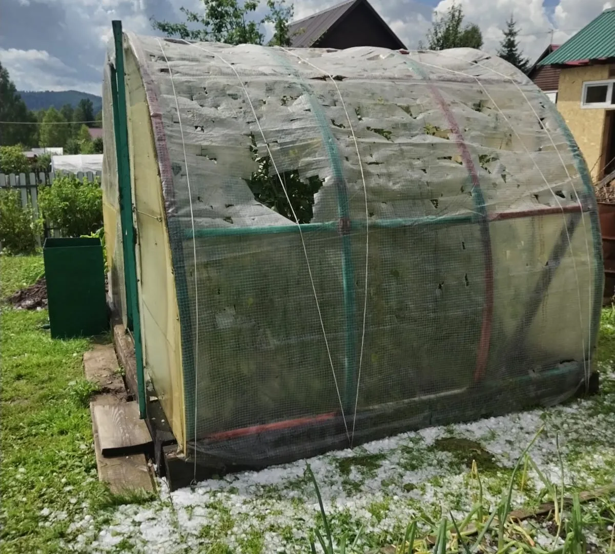 Синоптики сообщили прогноз на лето: палящая жара сменится ливнями