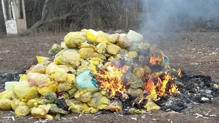 Дышать нечем: в рязанском СНТ сжигают биологические отходы