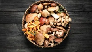 Употребление грибов может быть опасно для пожилых людей