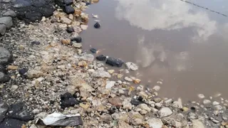 Ни одной заплатки: рязанец заснял состояние дороги в Дашково-Песочне