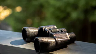 Во Владимирской области открыт весенний охотничий сезон