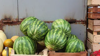В Рязани разрешили торговать арбузами с 15 июля