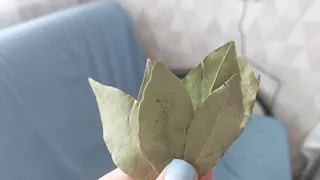 Ушлые хозяйки кладут под ковер лаврушку: так избавляются от надоевших проблем до 2025 года — нужно всего 4 листочка