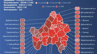 За сутки COVID-19 унес жизни восьми брянцев