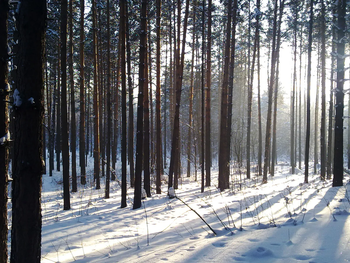 В Нижнекамске волонтеры нашли вещи пропавшего без вести мужчины