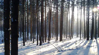 В Нижнекамске волонтеры нашли вещи пропавшего без вести мужчины