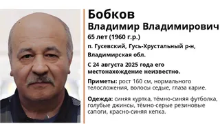 В Гусь-Хрустальном районе пропал 65-летний мужчина в синей куртке и голубых джинсах