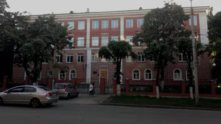 На улице Гагарина вырубили деревья для парковки