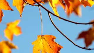 О погоде в Рязани на выходные: ждать ли солнечных деньков?