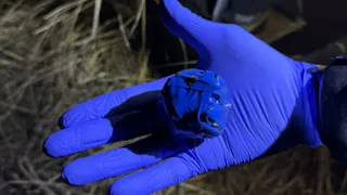 Жителя Коврова задержали за попытку сбыта запрещённых веществ во Владимире