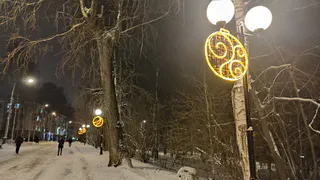 Каждый третий житель Коми живет в Сыктывкаре