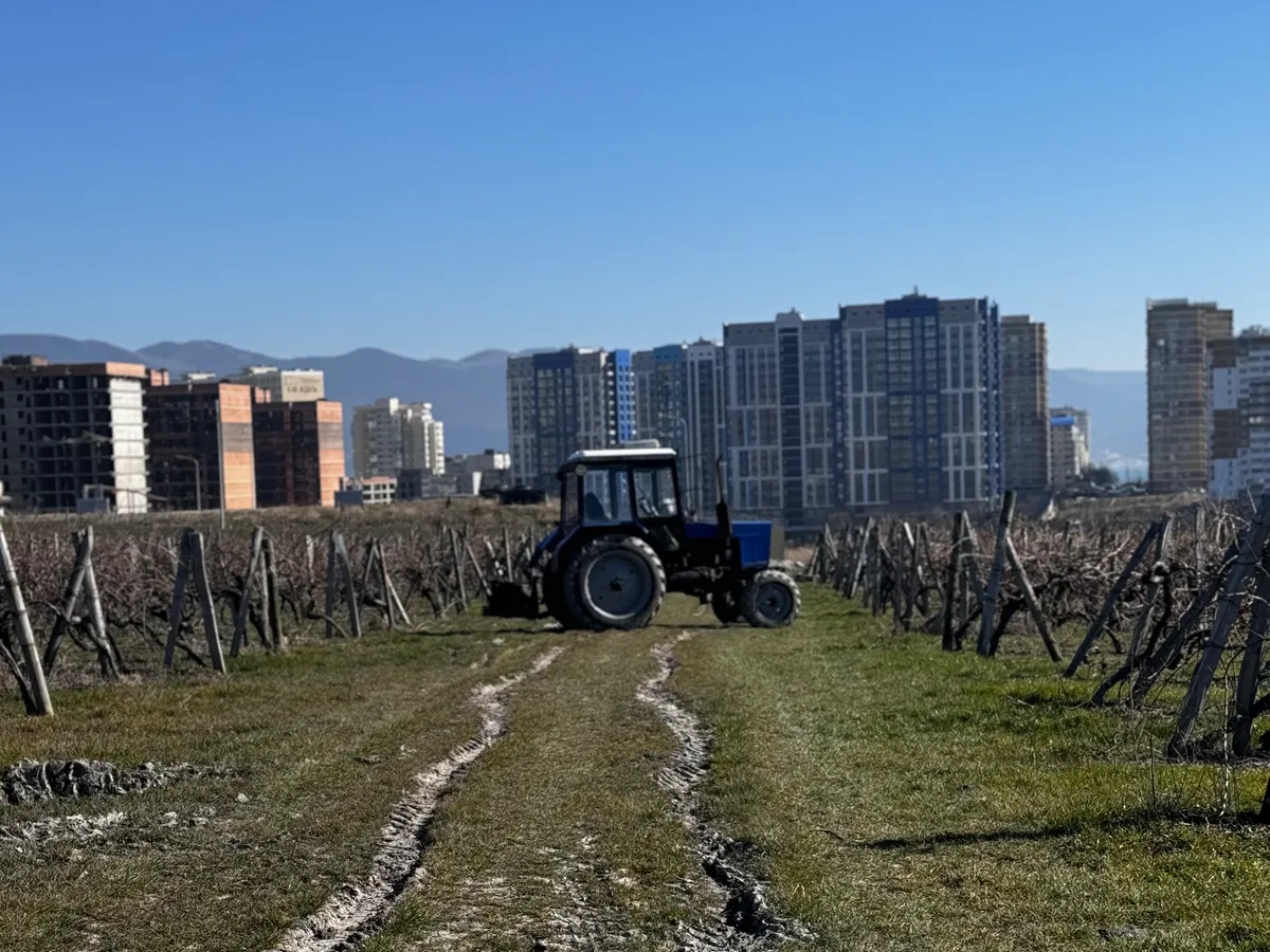 «Скоро придёт тепло»: народные приметы на 24 марта 2025 года - Ефимов день