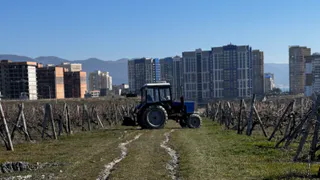 «Скоро придёт тепло»: народные приметы на 24 марта 2025 года - Ефимов день