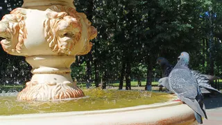 «Грядет аномальная погода»: синоптики резко изменили прогноз на июль