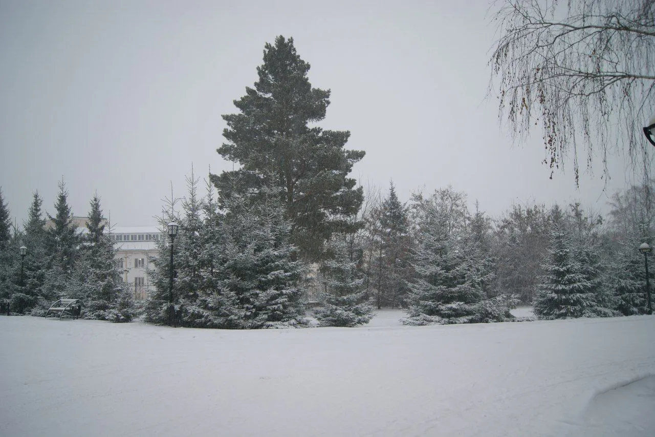 Когда прекратится метель и снег в Нижнекамске?