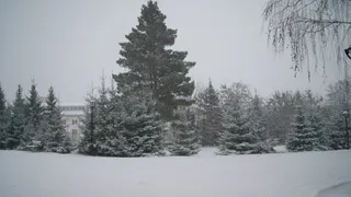 Когда прекратится метель и снег в Нижнекамске?