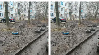 5 самых злободневных рязанских мемов 2020 года: хулиганская подборка