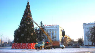 На площади Театральной в Рязани появилась 18-метровая Новогодняя ель