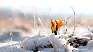 Наступление весны в Нижнекамске ожидается не раньше апреля