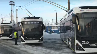 Известно, как бесплатные автобусы «М5 Молл» 1 января 