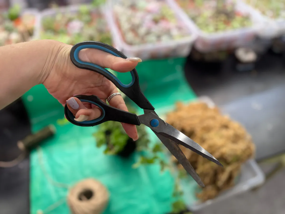 Станут острее новой бритвы: как быстро и просто заточить ножницы