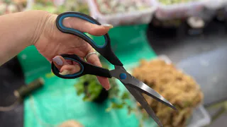 Станут острее новой бритвы: как быстро и просто заточить ножницы