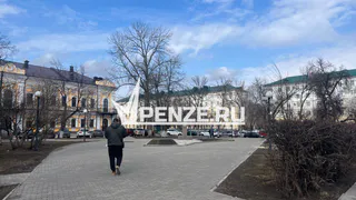 В 2026 году планируют официально запретить продажу вейпов в Пензенской области