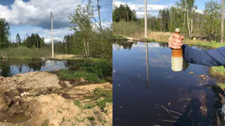 Массовая гибель рыбы во Владимирской области может обернуться уголовным делом
