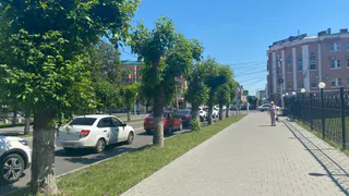 «Лето будет аномальным». Синоптики дали точный прогноз на лето 2025 - такого не ожидал никто