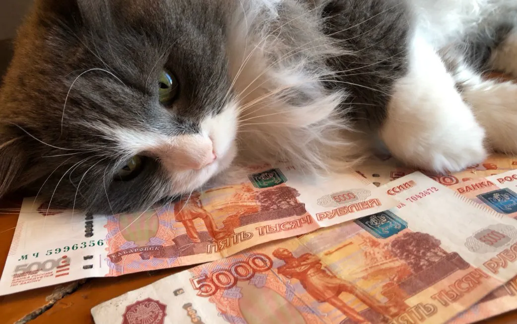 График выплат пенсий в декабре 2025: Пенсионный фонд назвал точные даты