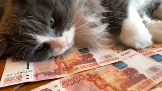 График выплат пенсий в декабре 2025: Пенсионный фонд назвал точные даты