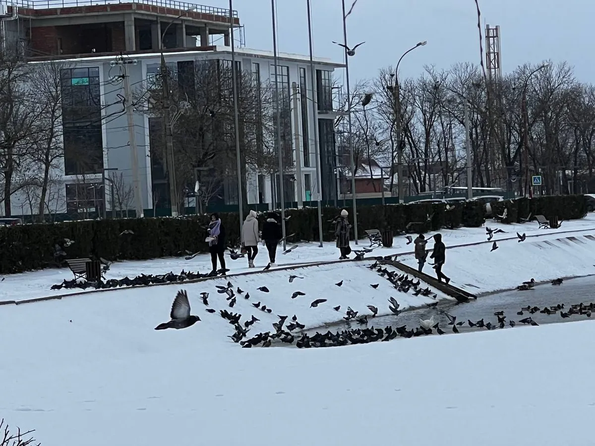 Так ходят только деревенщины: эксперты рассказали, какие аксессуары выдают низкий интеллект человека