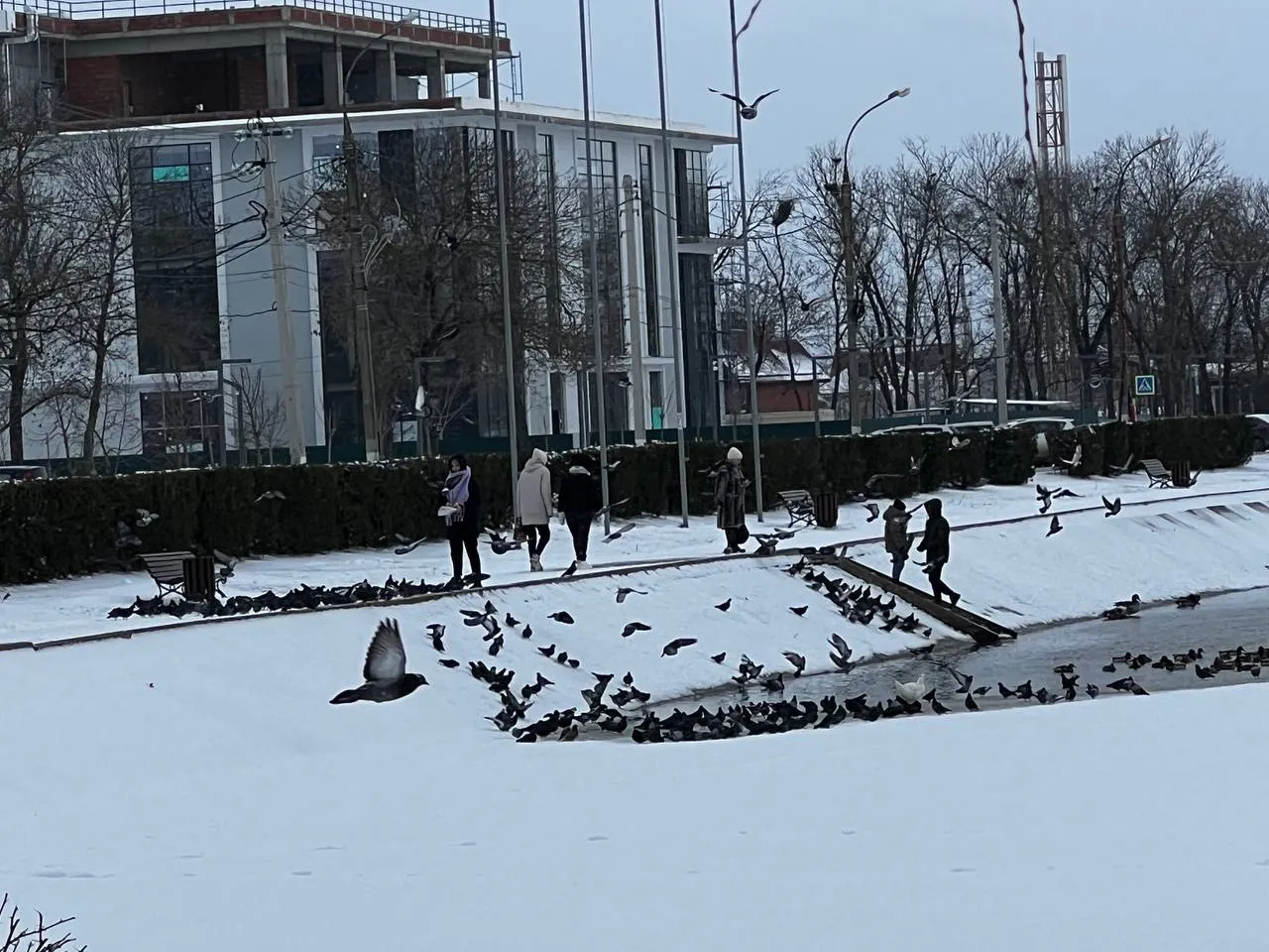 Так ходят только деревенщины: эксперты рассказали, какие аксессуары выдают низкий интеллект человека