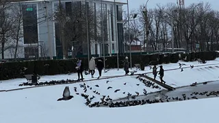 Холода не уйдут: синоптик озвучил даты, когда можно высадить рассаду