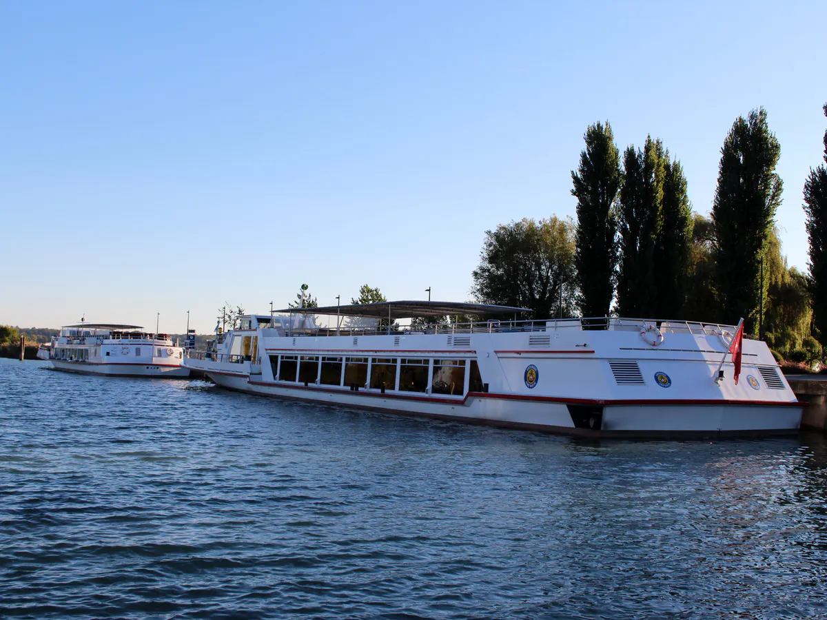 Кошмар на круизном теплоходе по Волге: как пассажиры стали бесплатной рабочей силой – откровенный отзыв туристки