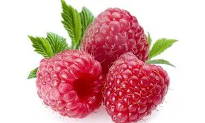 На празднике малины рязанцы съели полтора центнера ягод