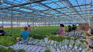 Чувашские сельхозкооперативы получат 40 миллионов на модернизацию