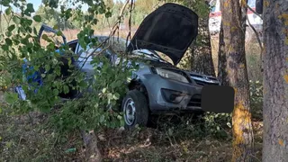 В Ковровском районе водитель легковушки погиб в ДТП съехав с трассы