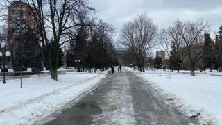 Точно всем пожилым. Пенсионеров призвали оформить новую льготу за стаж работы с 1 апреля