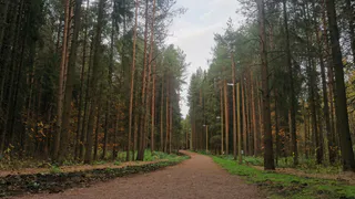 В Чувашии запланировали агротехнический уход на площади более 1600 гектаров