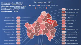 В Брянске за сутки скончались 2 человека от Covid-19