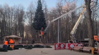 Украсят позже: в Рязани установили первую новогоднюю елку
