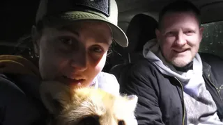 Под Рязанью нашли сбежавшего из зоопарка лисенка Филю