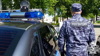 За неделю сотрудники Росгвардии по Коми более 110 раз выезжали на вызовы