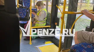 Проезд для беременных пензячек сделают бесплатным