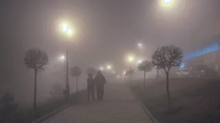 Туманы в Рязанской области 3 марта останутся до середины дня