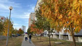 11 октября в Рязанской области ожидается туман и до +14