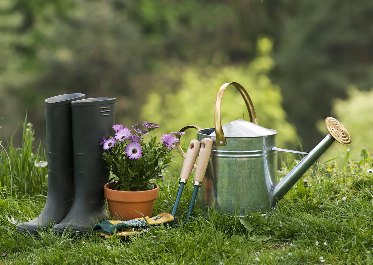 Подача электричества: у нижнекамцев начинается дачный сезон
