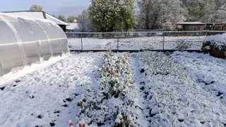Снег нагрянет необычайно рано: синоптики назвали точную дату старта зимы