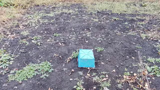 Высыпайте хоть на снег: это удобрение осенью важнее всех - в следующем сезоне без него урожая не будет